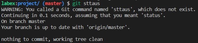 Git autocorrect command result