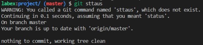 Git autocorrect command result