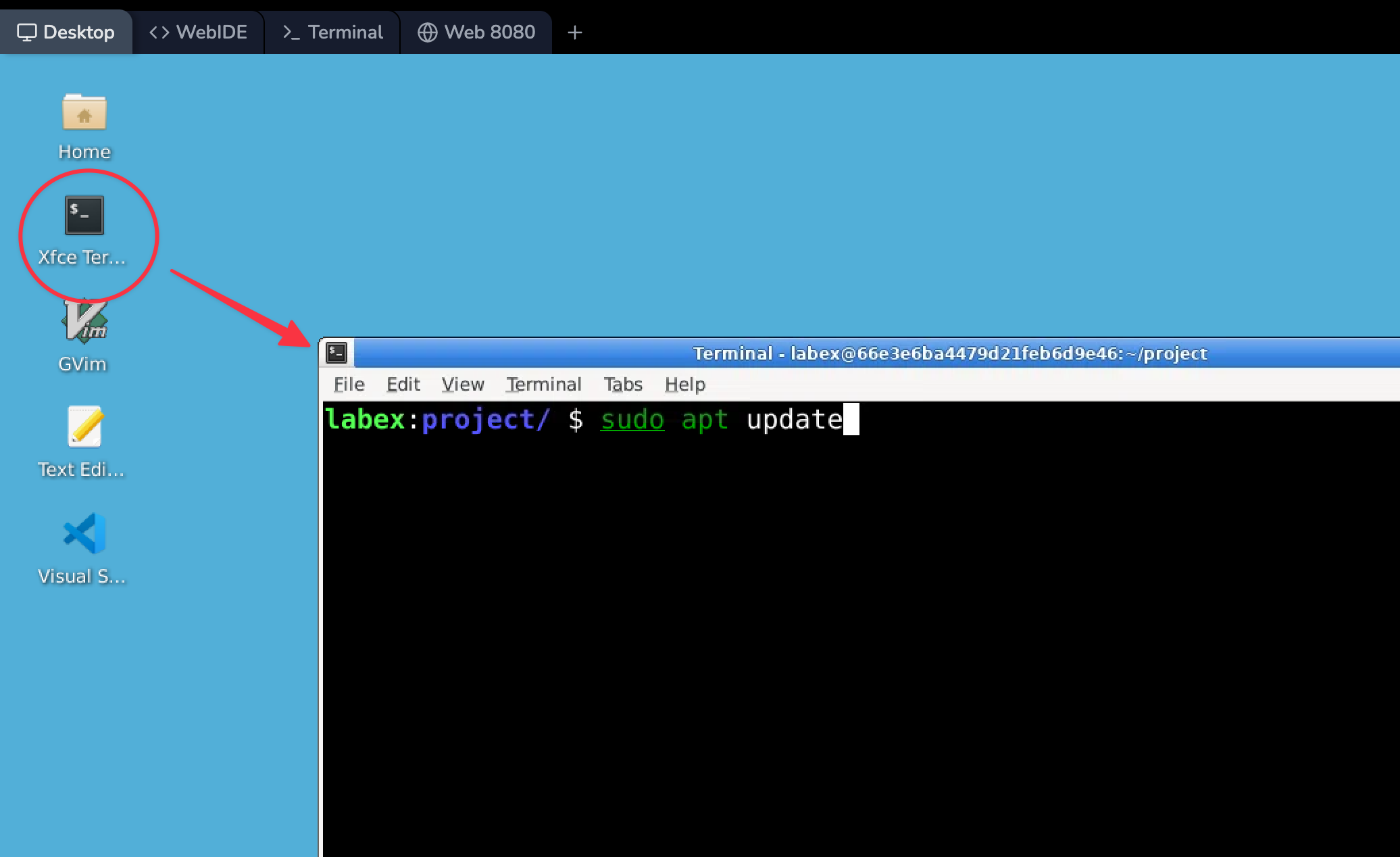 Terminal avec l'installation de Nmap