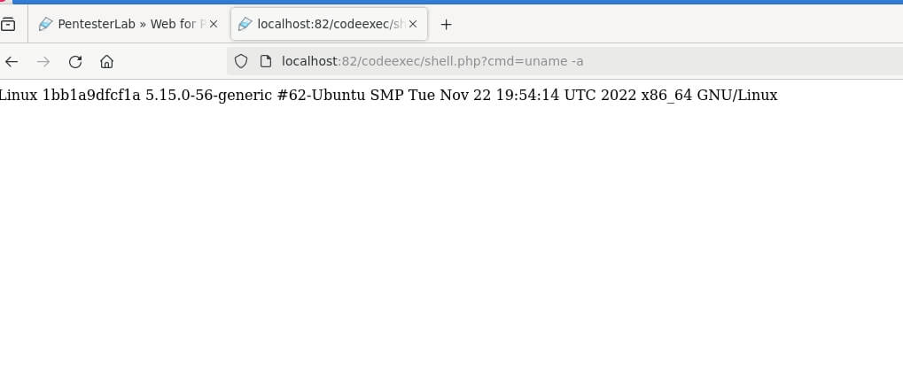 Ausgabe eines shell.php-Befehls