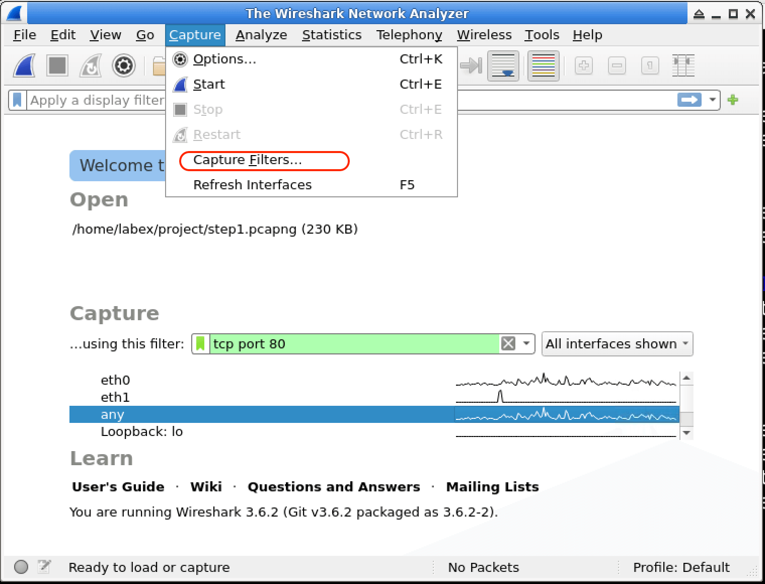 Apply Wireshark Capture Filters for Network Traffic Analysis | LabEx