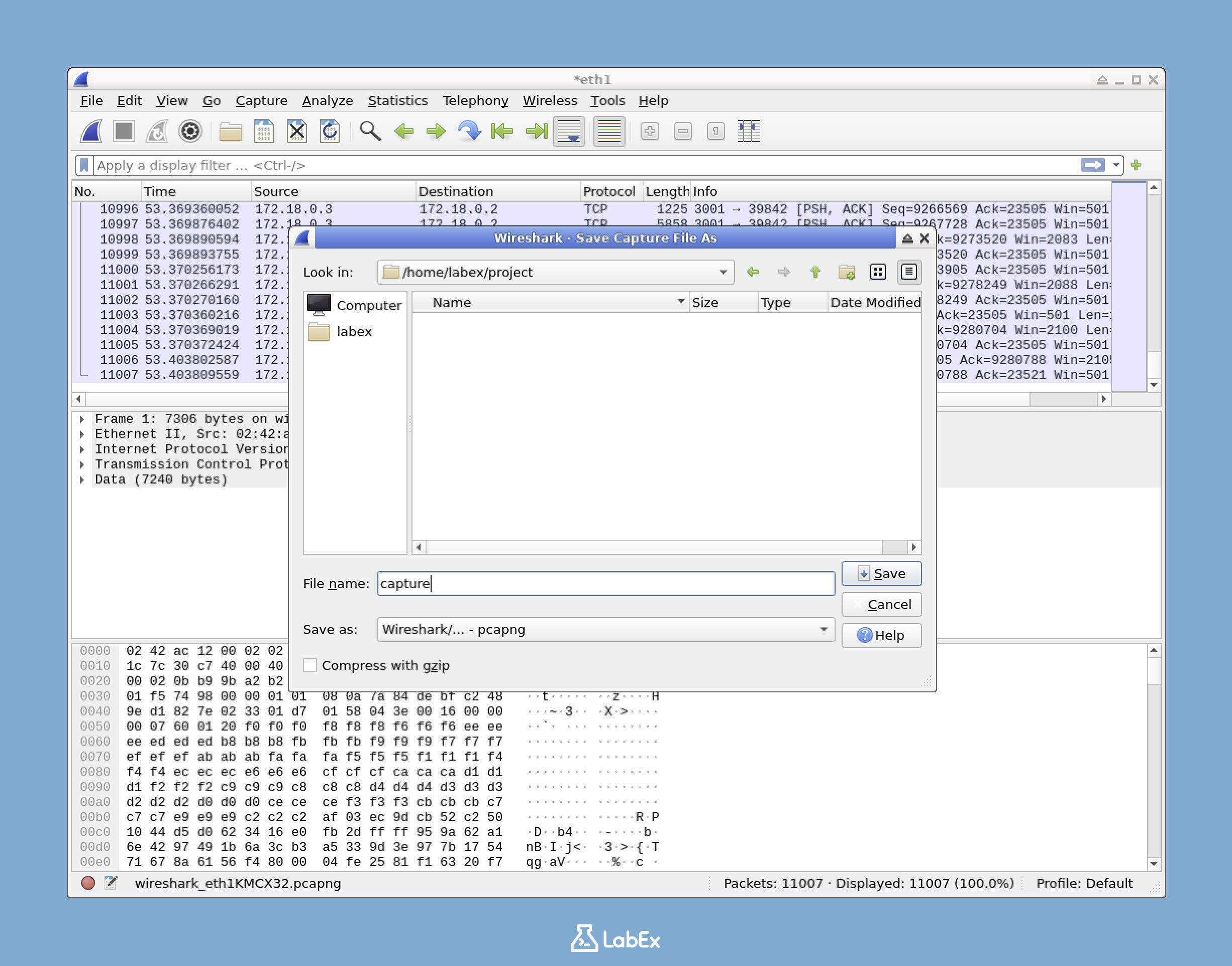 Analyze TCP Traffic with Wireshark Follow TCP Stream Feature | LabEx