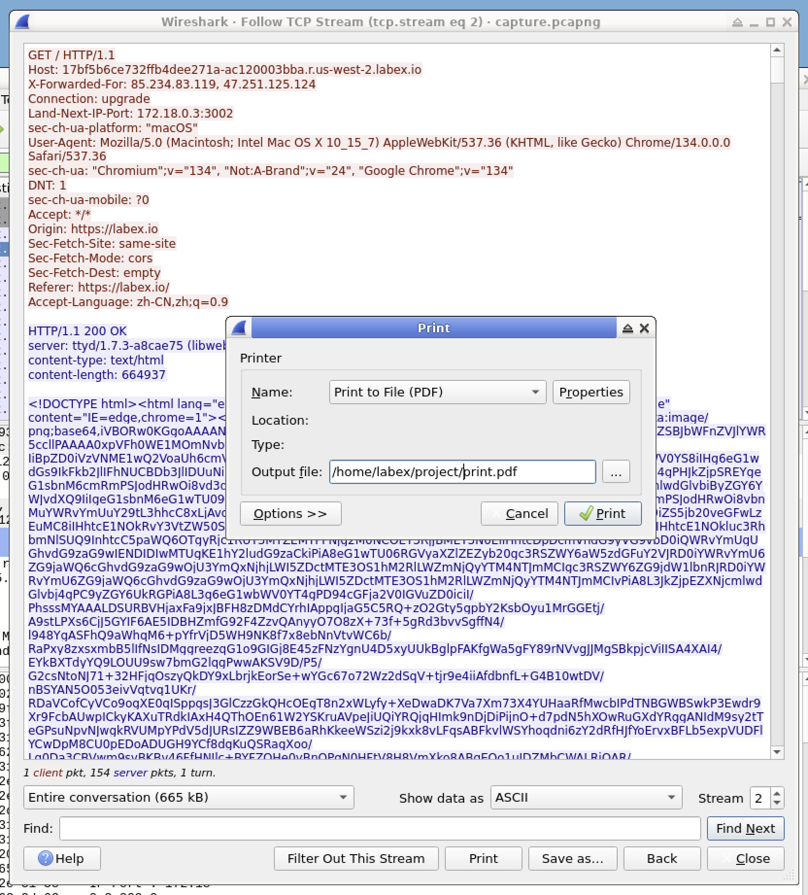 Analyze TCP Traffic with Wireshark Follow TCP Stream Feature | LabEx