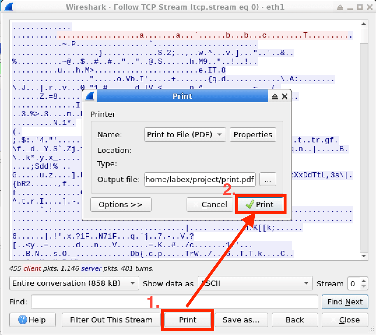 Save and print TCP data