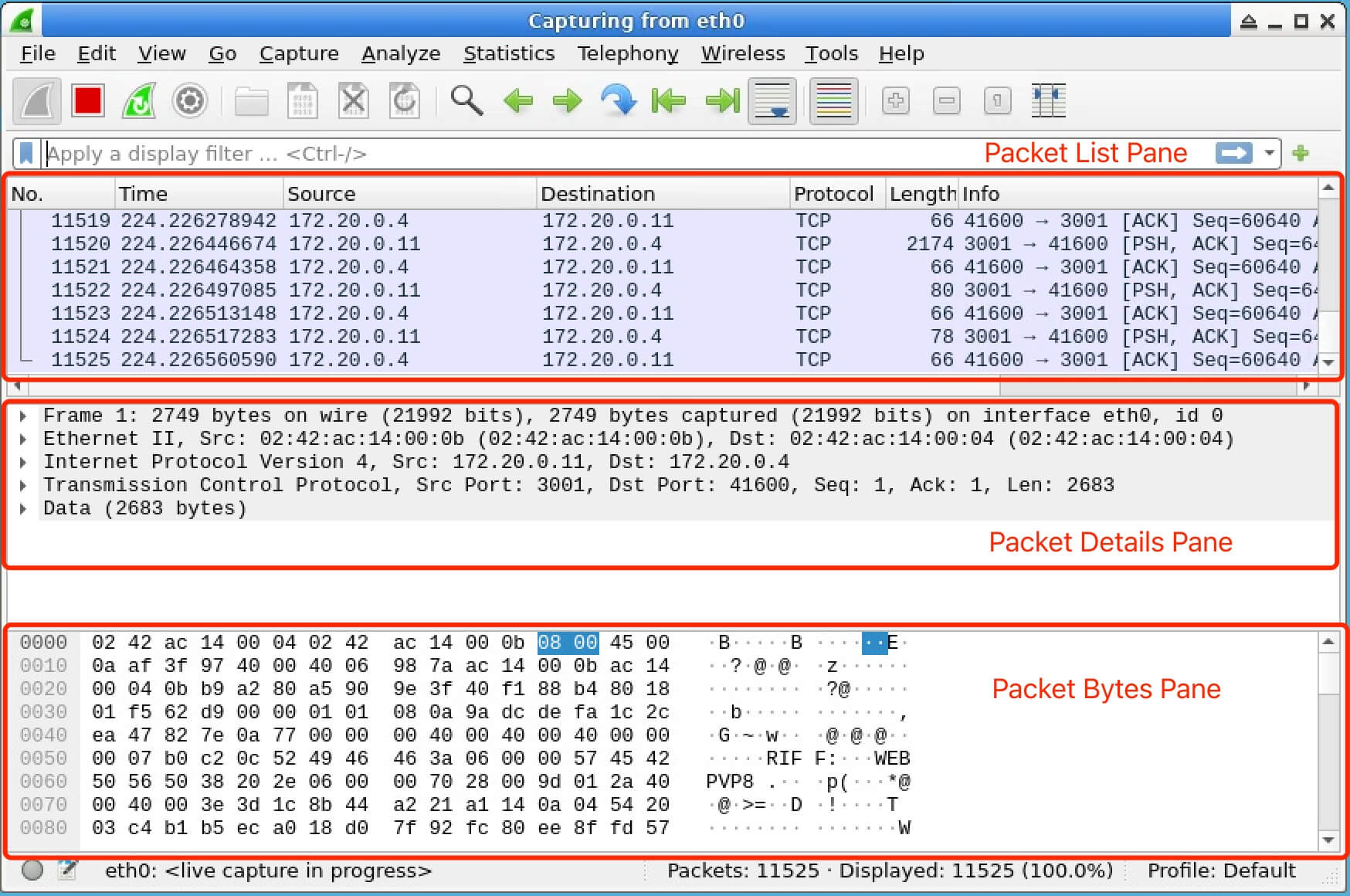 Wireshark Main Interface