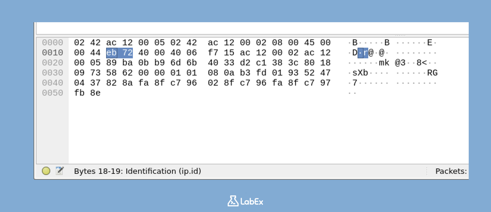 Packet Bytes Pane