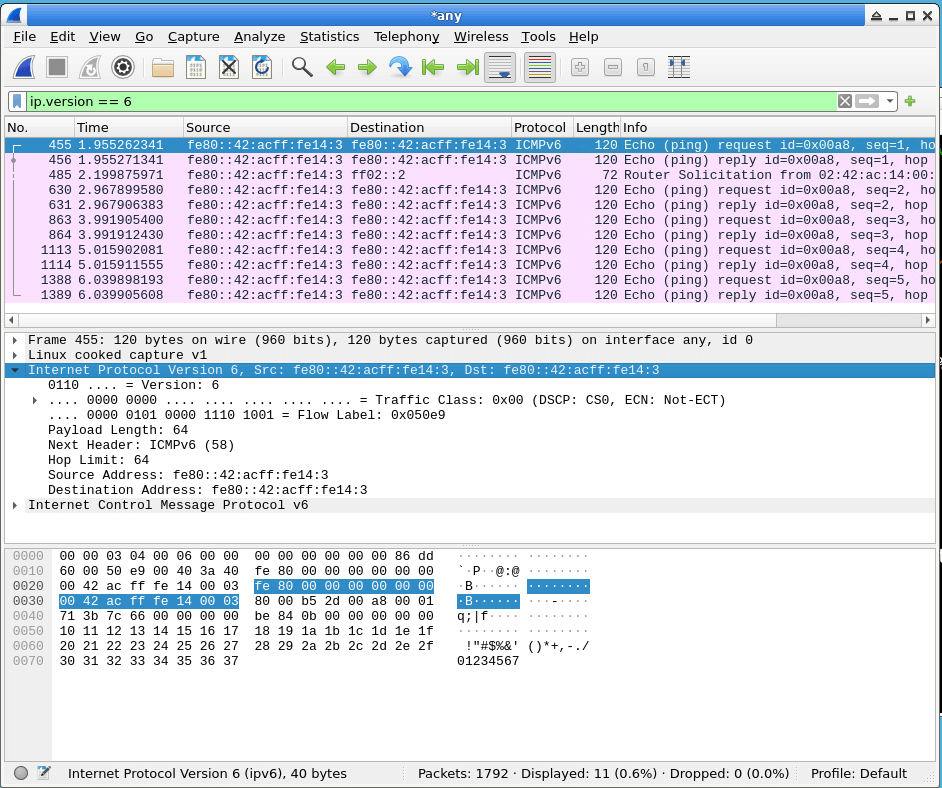 IPv6 Packet Details