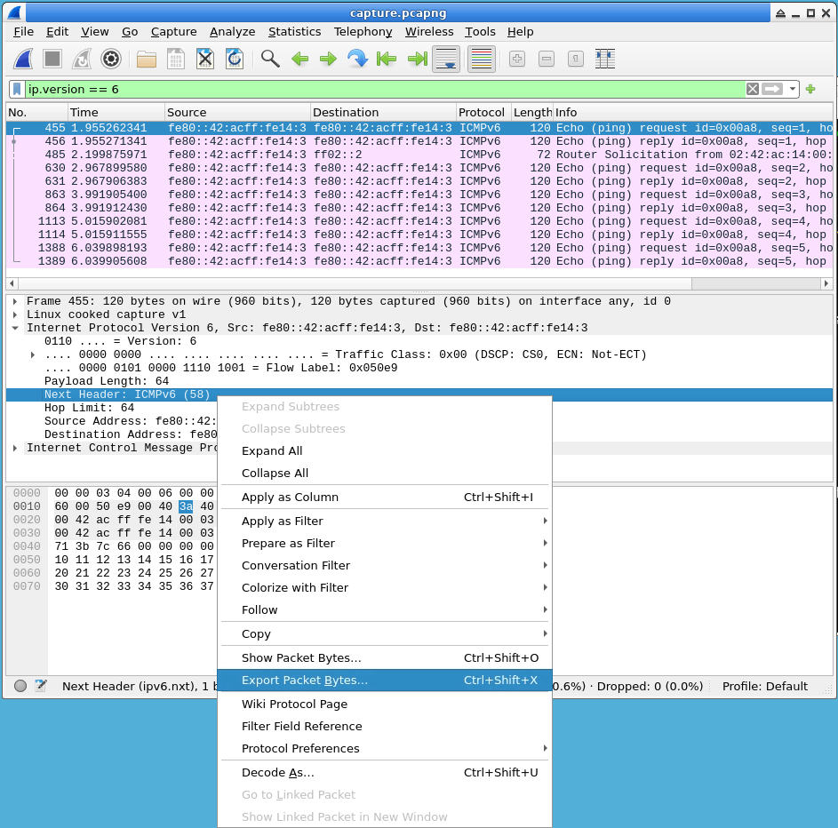 Export Packet Bytes