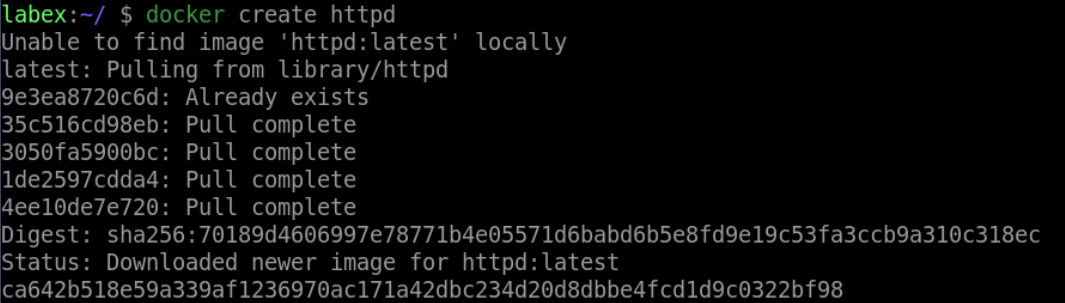 First Docker container creation