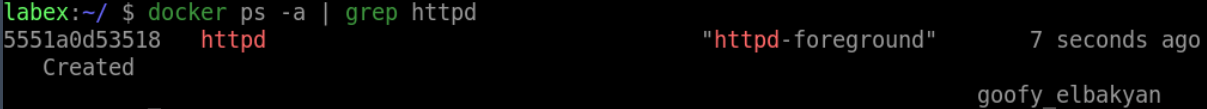 Verify container creation status