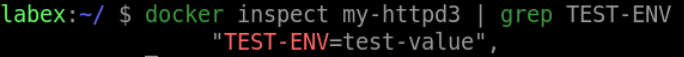 verify container environment variable