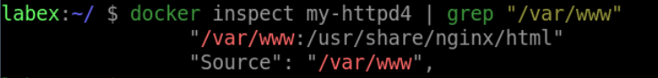 verify container volume mount
