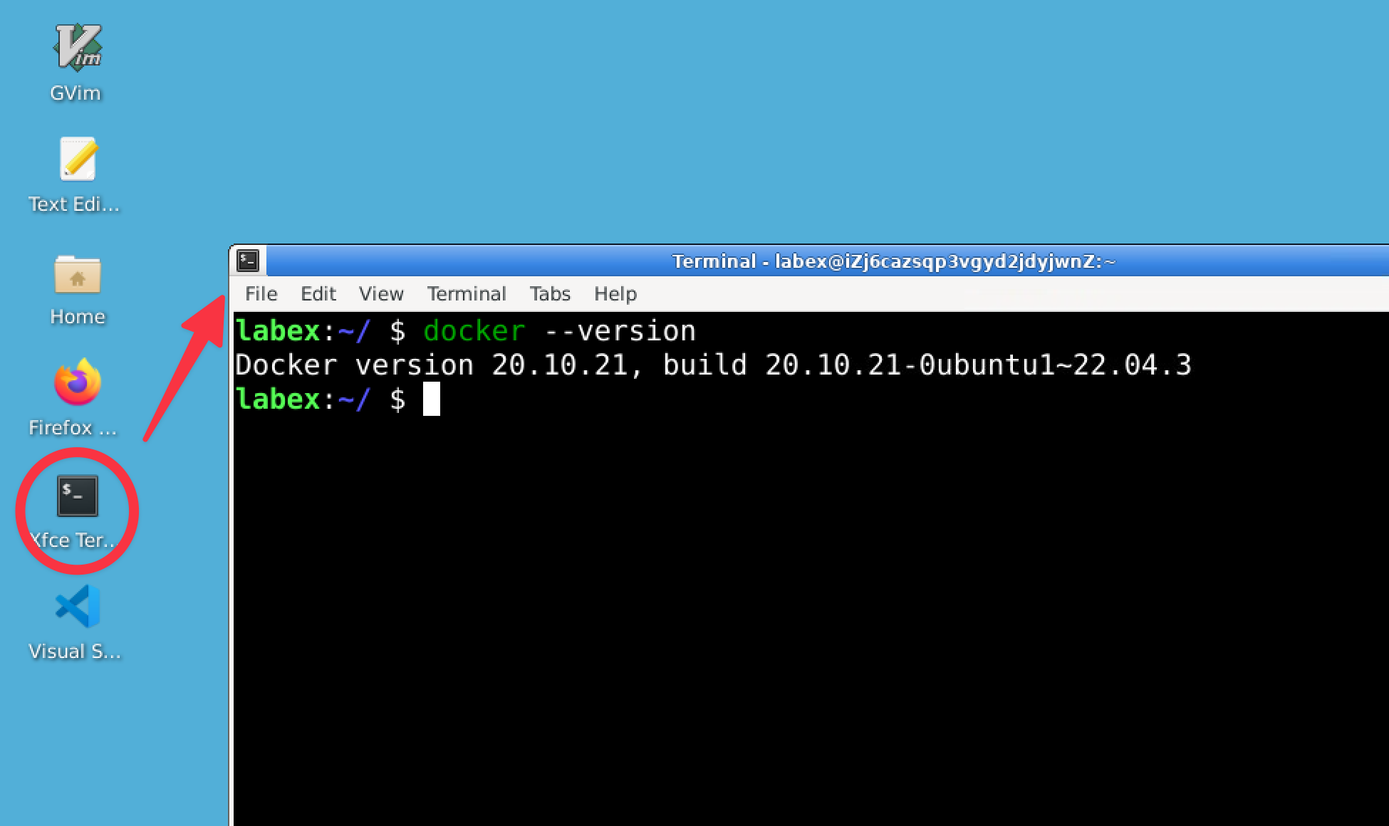Docker version command output