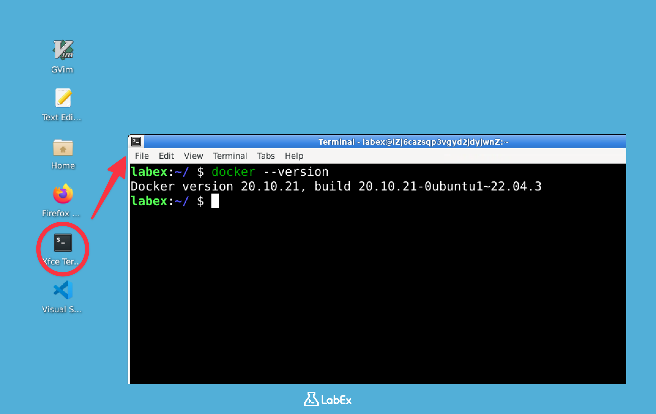 Docker version command output