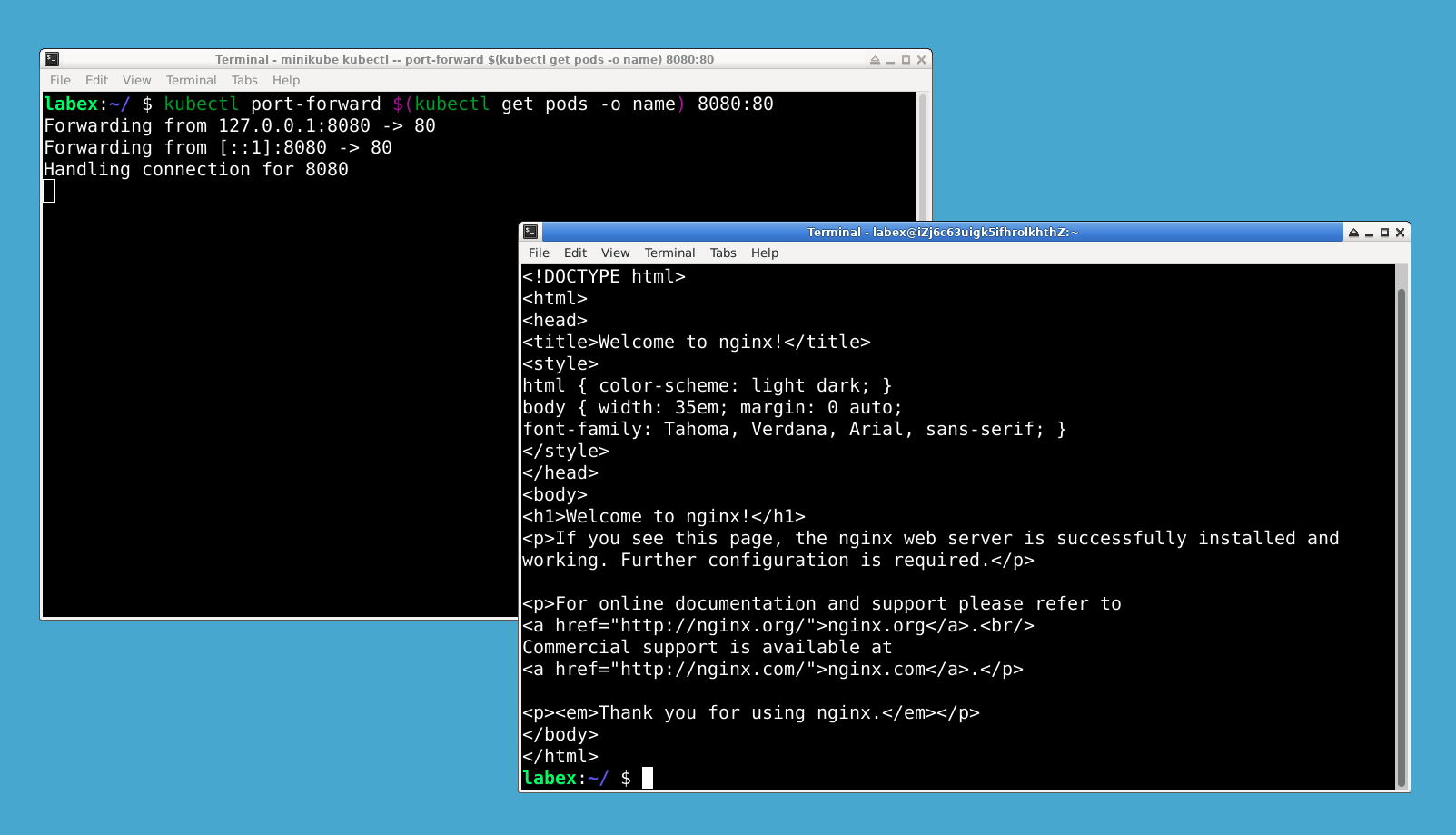 Visualización de la página de bienvenida de NGINX