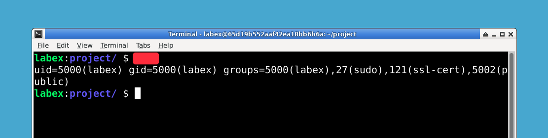 Terminal, das Benutzer- und Gruppeninformationen anzeigt
