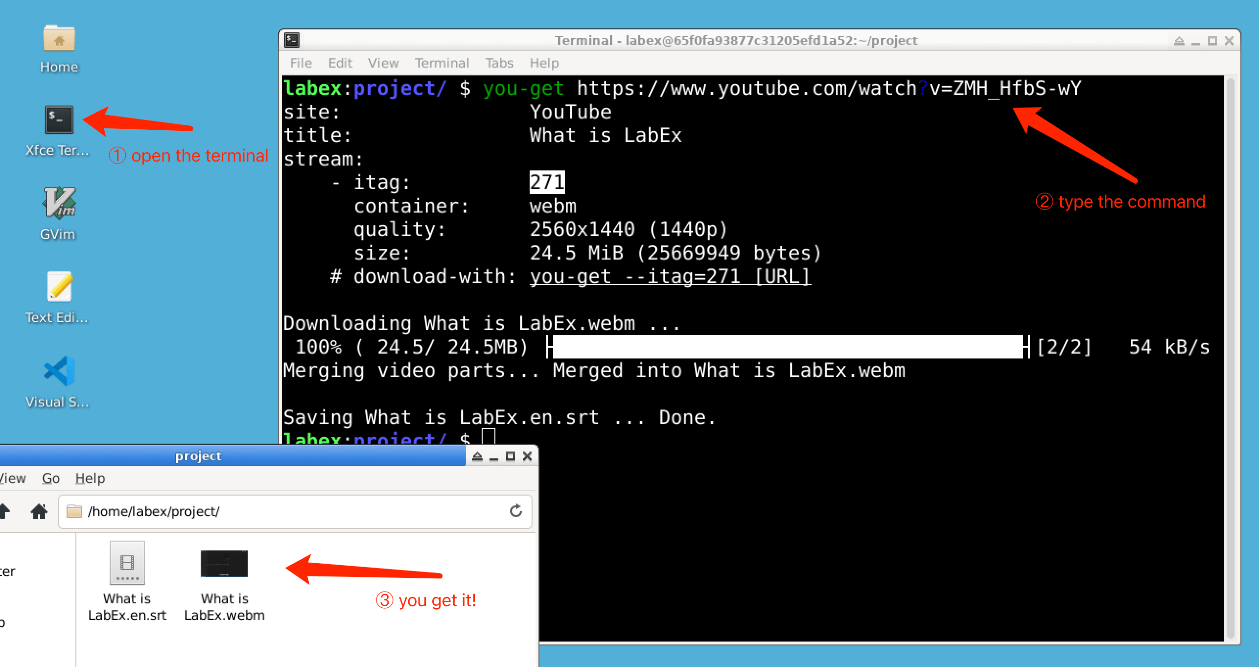 you get command line tool