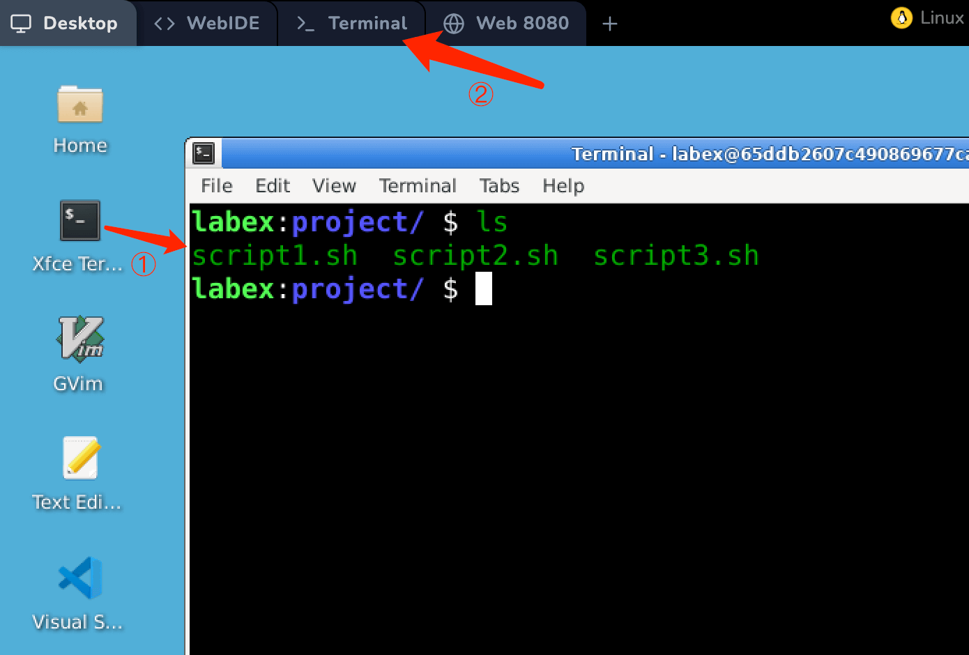 terminal listing project files