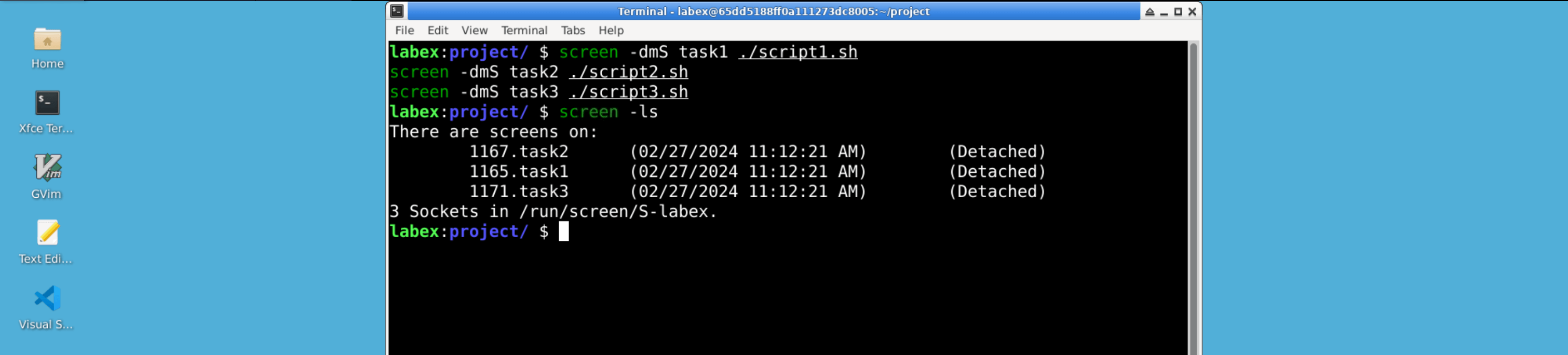 screen sessions list output