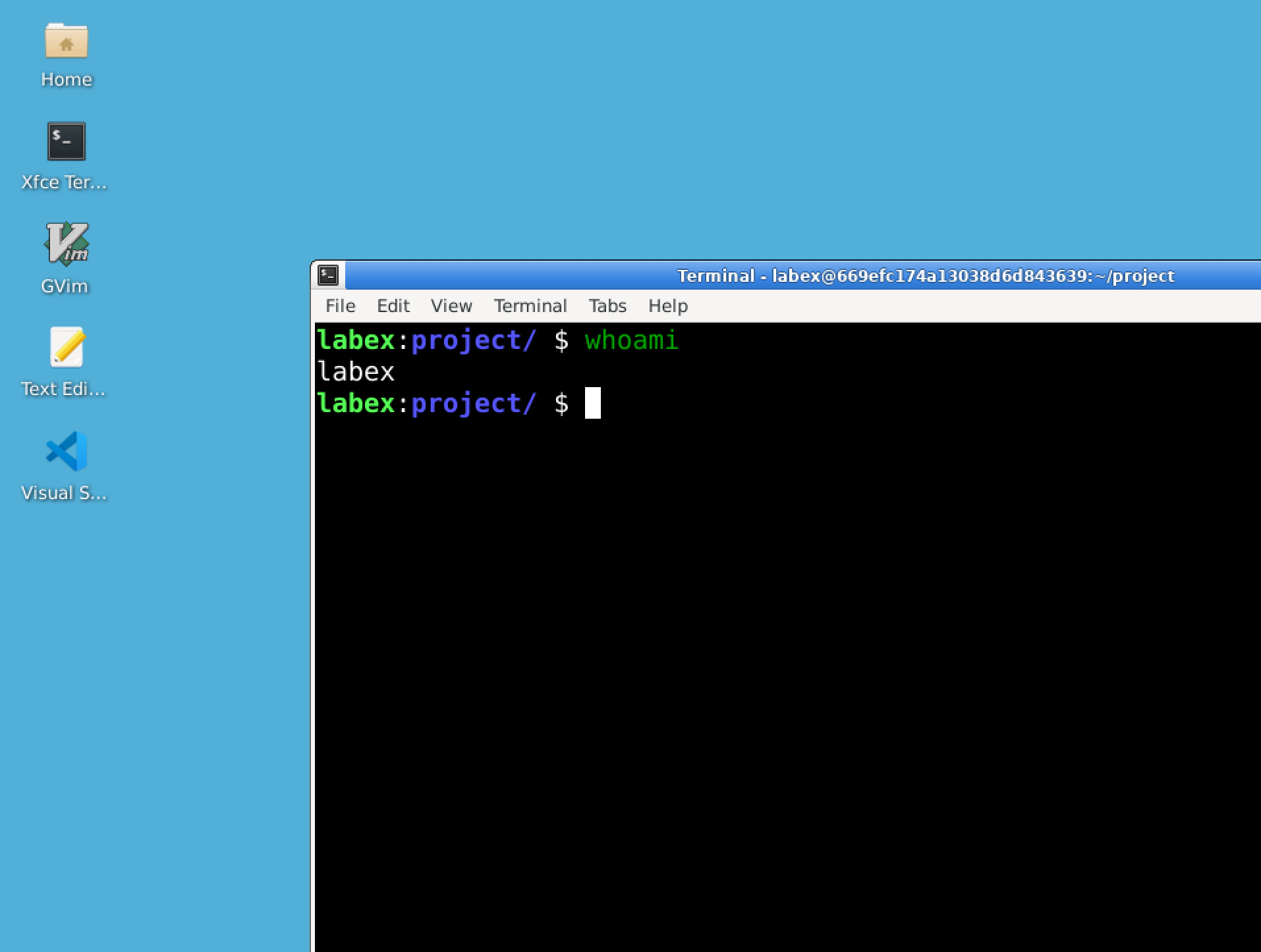 Terminal zeigt die Ausgabe von whoami an