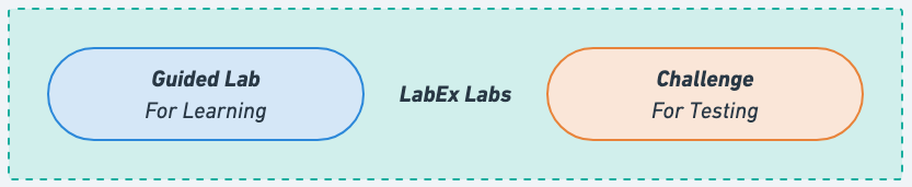 LabEx Labs