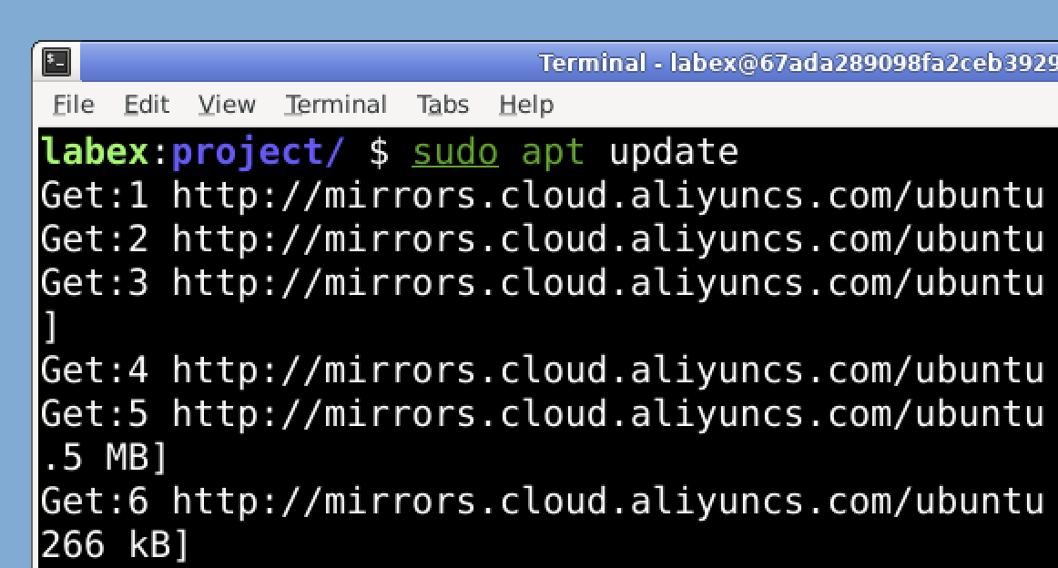 Terminal zeigt apt update an