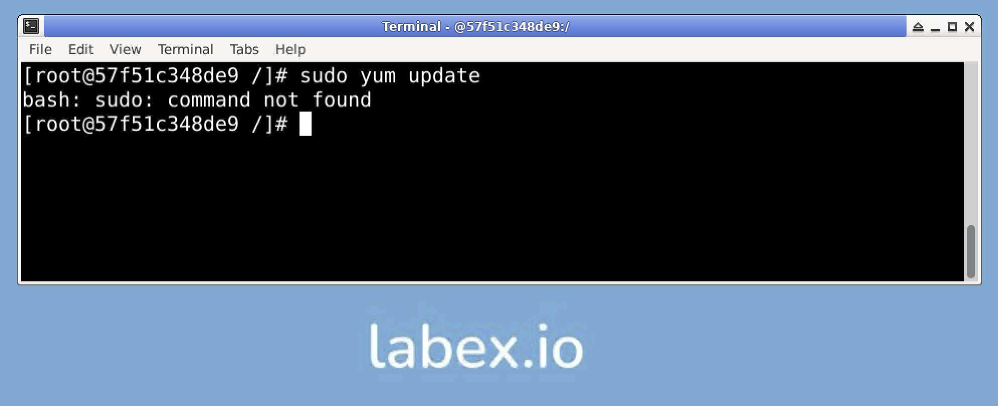 YUM Command Not Found