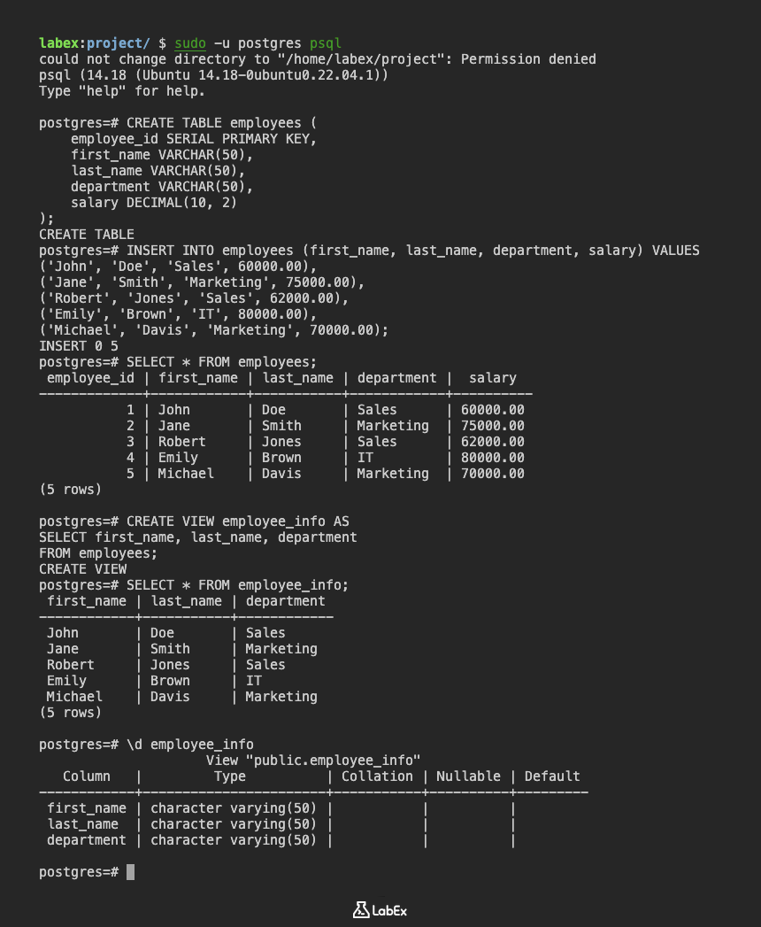 PostgreSQL employee_info view description