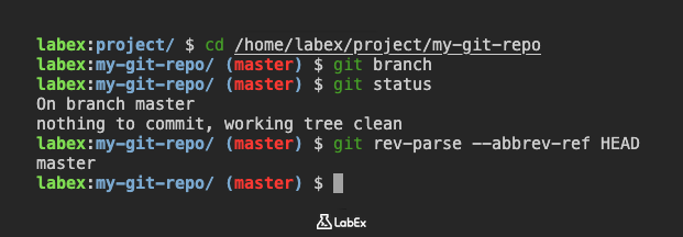 Illustration about checking Git branch