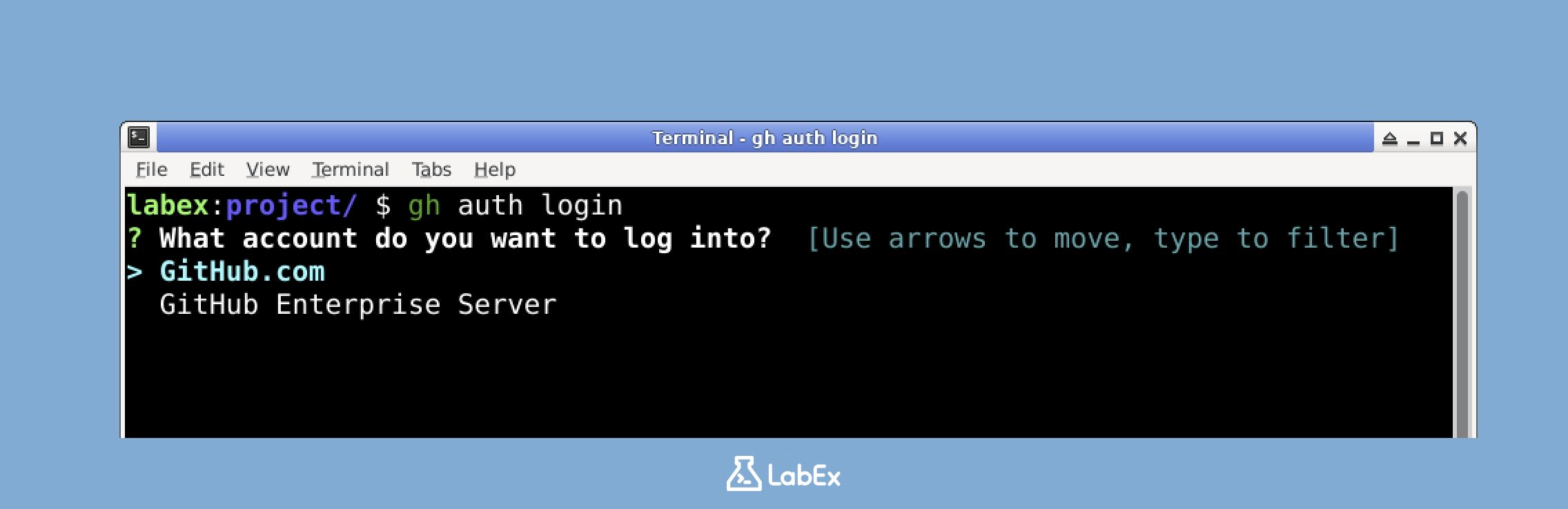 gh auth login