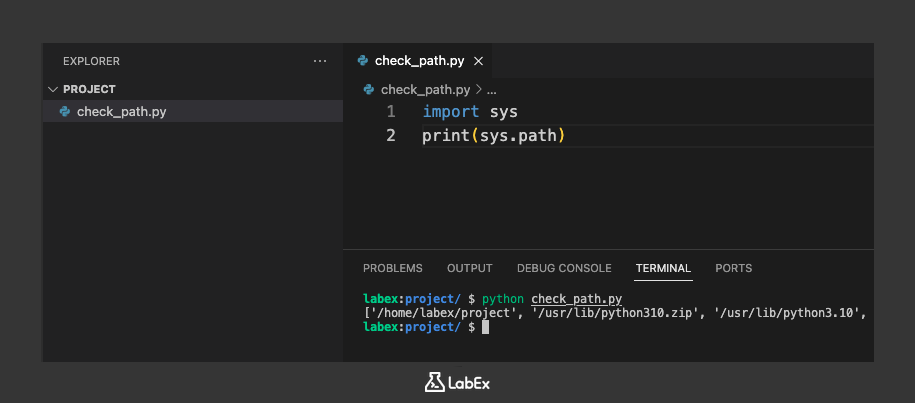 Output of checking Python path