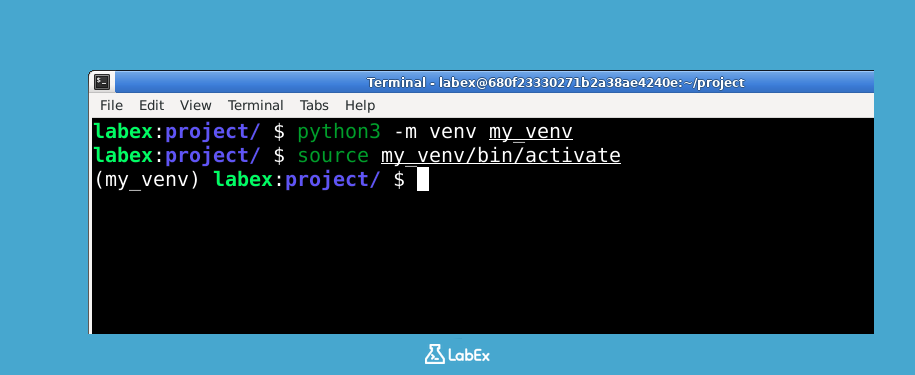 Terminal showing activated venv
