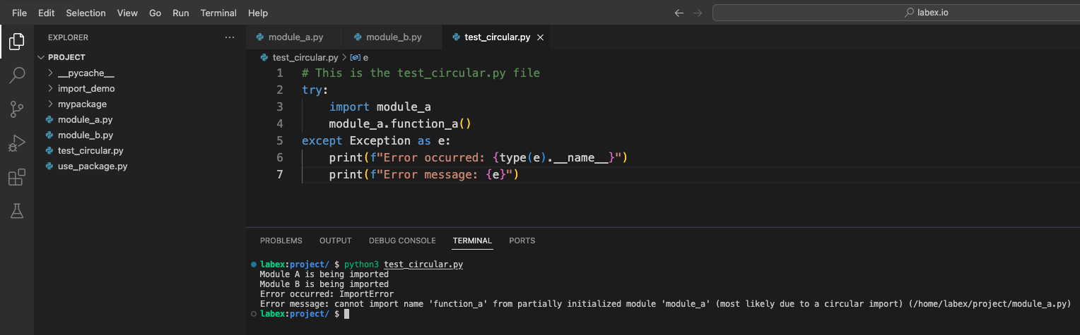 test_circular.py