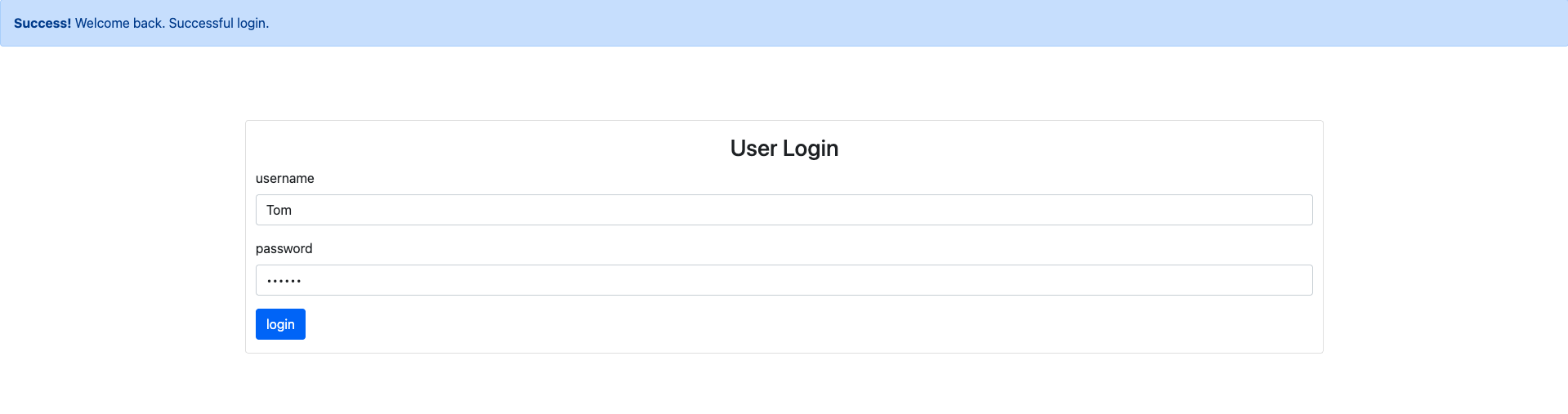 Successful login interface