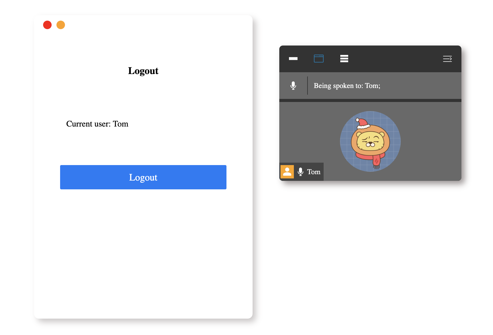 Web conferencing app preview