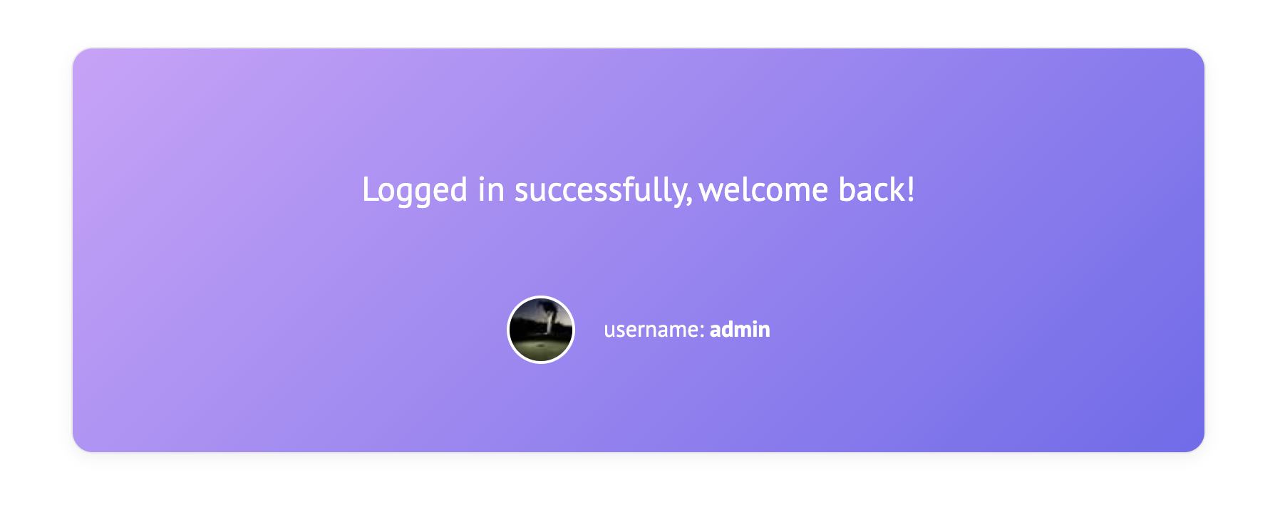 Vue login functionality preview