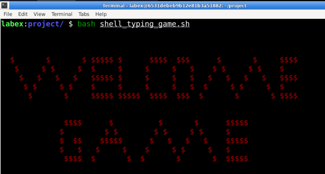 Shell Typing Game