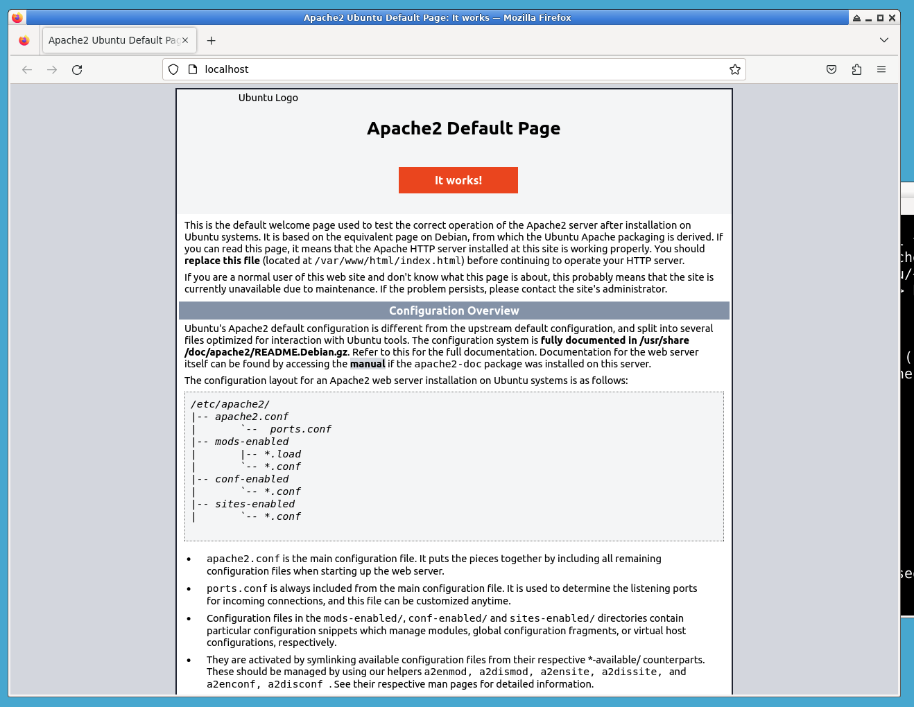 Apache2 default homepage