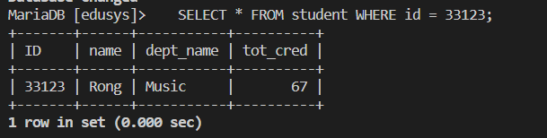 MySQL Java プロジェクトのプレビュー