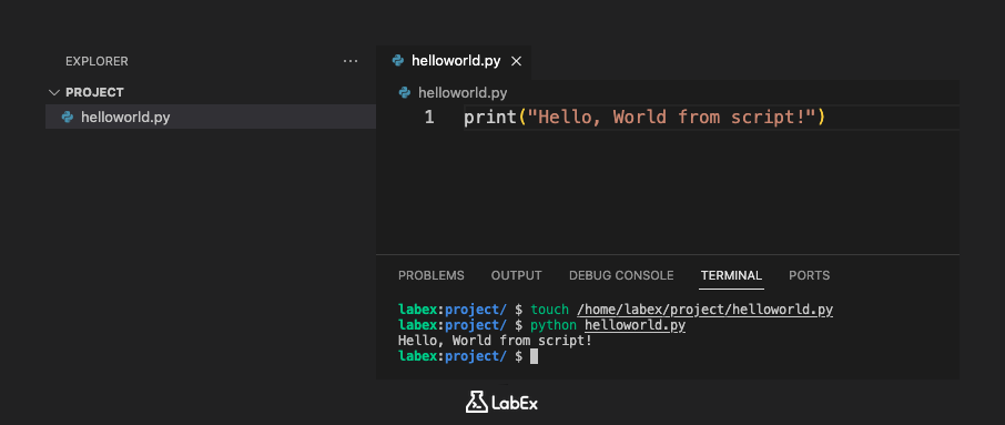 Ausgabe des Python-Skripts im Terminal