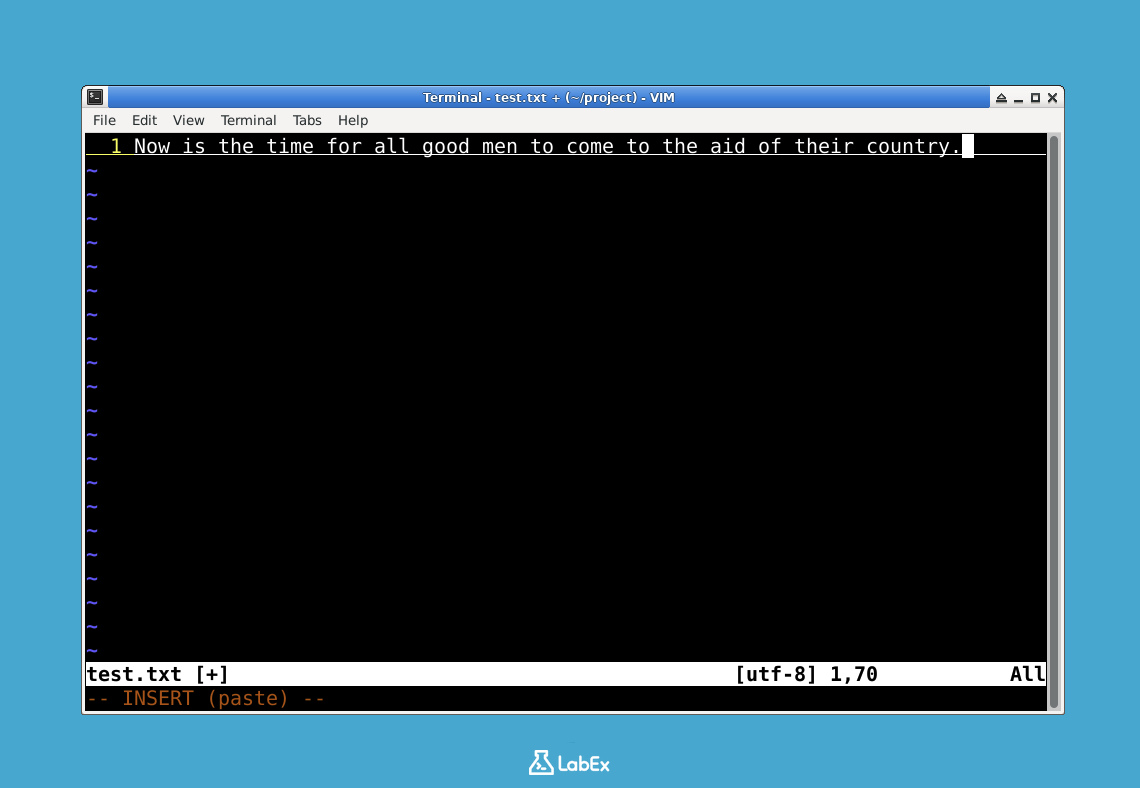 vi editor showing inserted text in insert mode