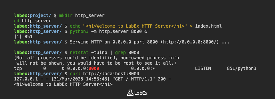 Check the server