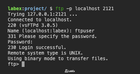 ftp login