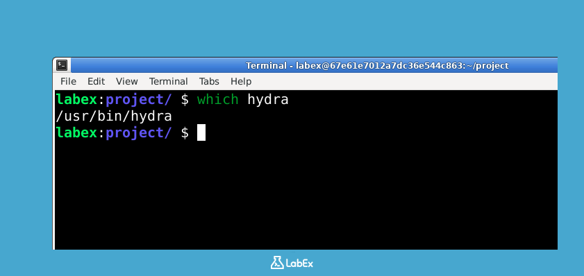 which hydra