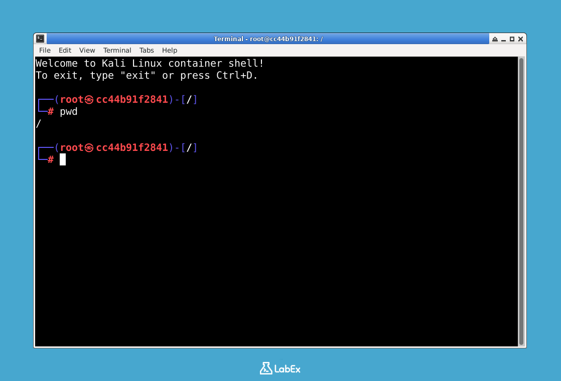 Imagen mostrando el shell del contenedor de Kali Linux