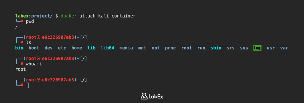 Output of uname -a command in Kali