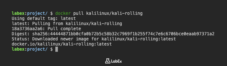 Изображение, показывающее прогресс загрузки Docker