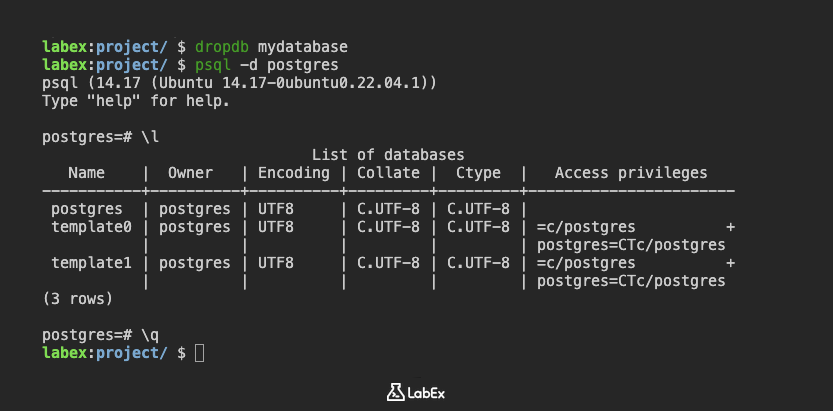 Eingabeaufforderung nach dem Verbinden mit postgres