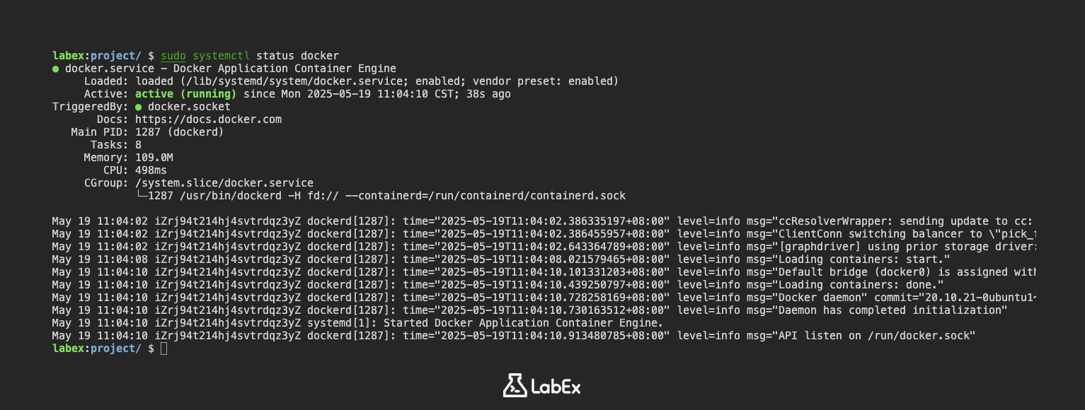 Output of checking Docker service status